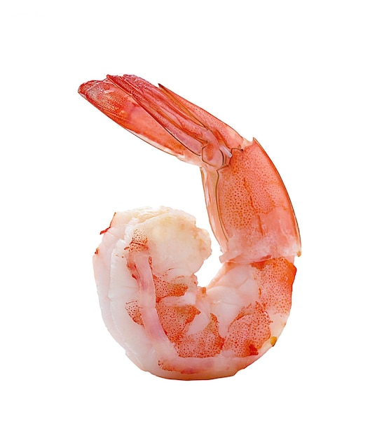 Foto camarões isolados em um fundo branco frutos do mar