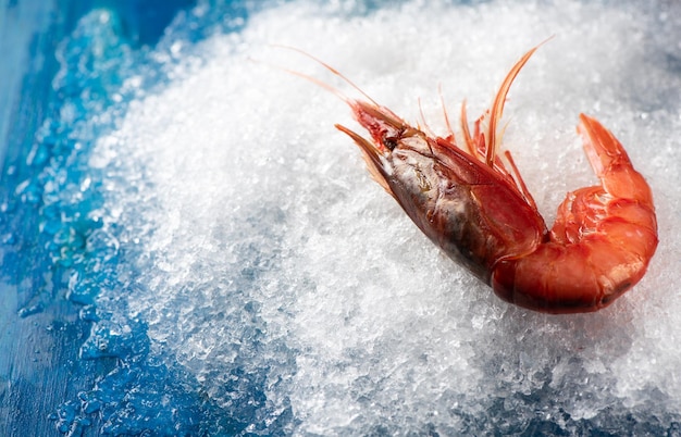 Foto camarões vermelhos de mazara del vallo gourmet