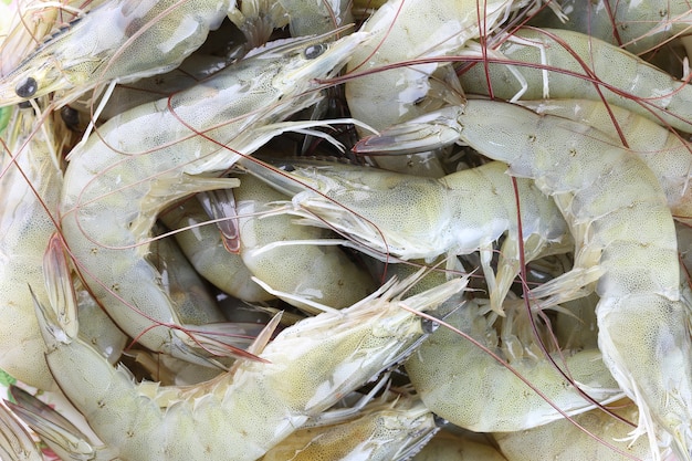 camarón crudo fresco como guarnición en la cocina.