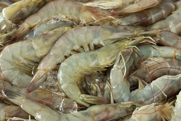 Camarones blancos frescos del Pacífico en bandeja de aluminio, concepto de alimentos frescos.