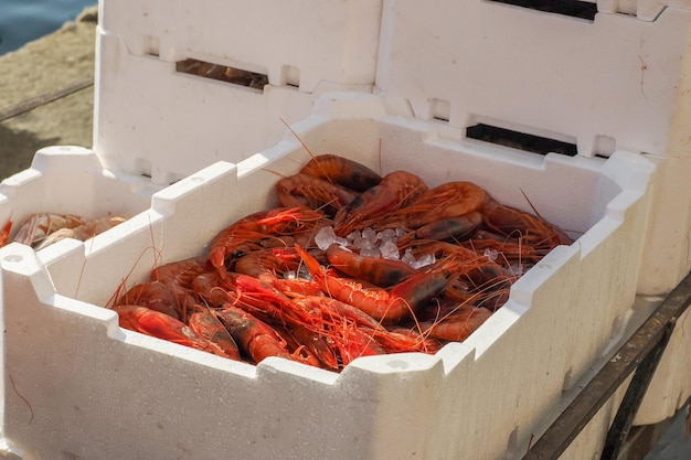 Camarones frescos en caja de poliestireno en barco de pesca