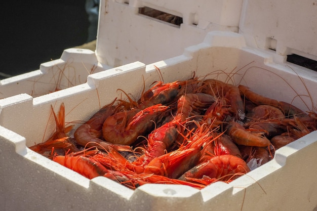 Camarones frescos en caja de poliestireno en barco de pesca