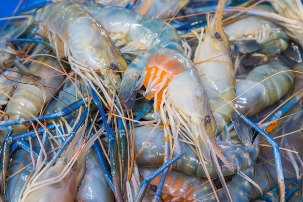 Camarones frescos en el mercado