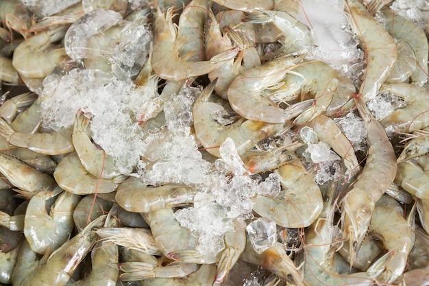 Camarones frescos en el mercado