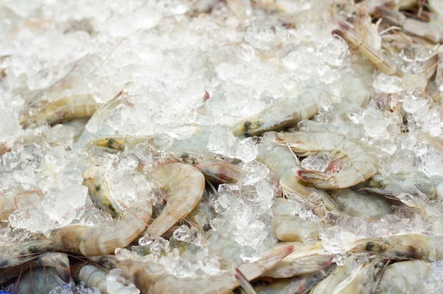 Camarones frescos o gambas ponen en el hielo.