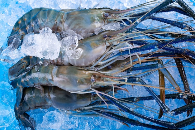 Camarones frescos sobre hielo en la comida del mercado