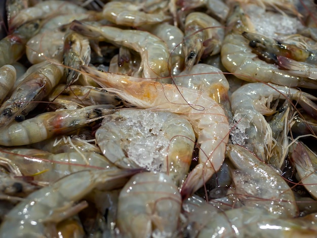 Camarones frescos de Udang en el hielo en el supermercado en Yogyakarta Indonesia