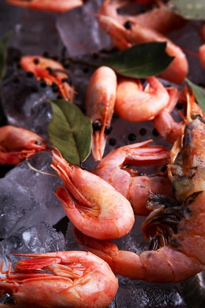 Camarones en hielo con pimienta y laurel sobre un fondo de madera