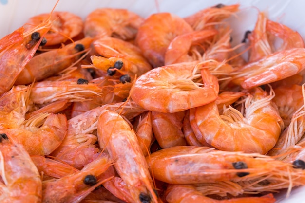 Camarones mediterráneos rojos grandes cocinados para la cena.