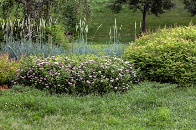 Camas de parque con plantas perennes, arbustos y árboles. Paisajismo.