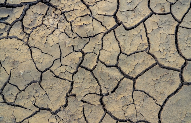 Cambio climático y tierras de sequía. Crisis de agua. Clima árido. Grieta del suelo. Calentamiento global. Problema ambiental. Desastre de la naturaleza. Fondo de textura de suelo seco.