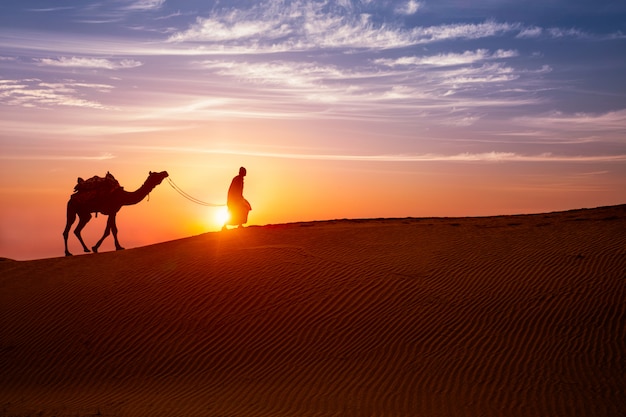 Cameleiro indiano beduíno com silhuetas de camelo nas dunas de areia do deserto de thar, no pôr do sol.