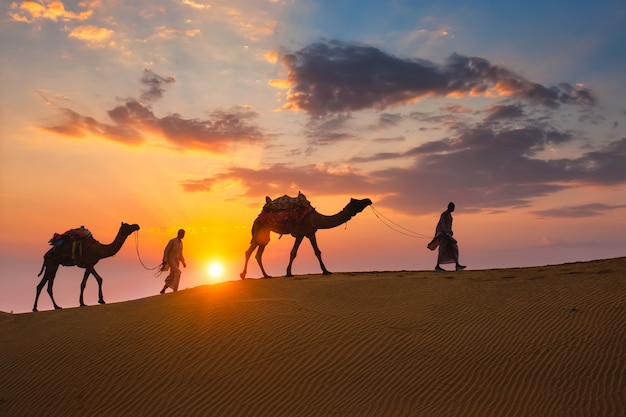 Camelleros indios camello conductor con siluetas de camellos en las dunas al atardecer. Jaisalmer, Rajasthan, India