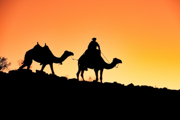 Camello y beduino al atardecer en Jordania
