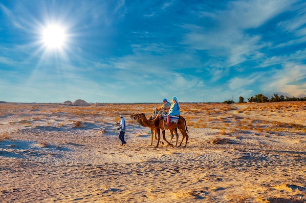 Camello dromedario en el desierto del sahara Túnez África