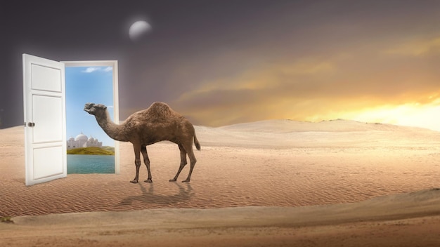 Camelo atravessando o deserto com mesquita