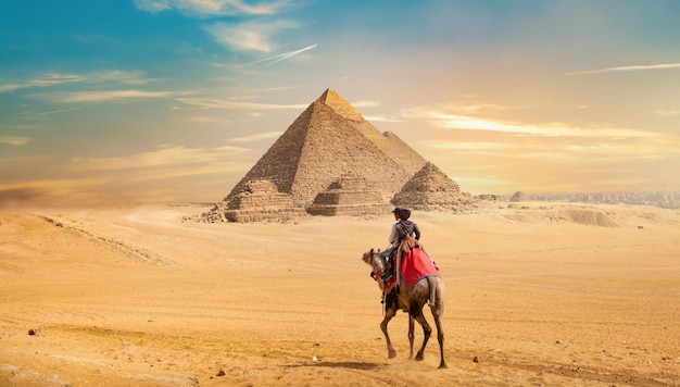 Foto camelo e as pirâmides