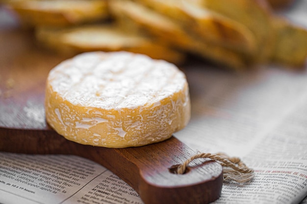 Camembert a bordo. Queso para publicidad. Para un tablero grande. Bree del horno.Queso al horno