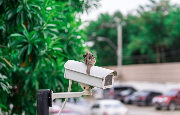 Foto câmera de cctv instalada no estacionamento para proteção de segurança