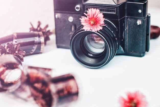 Câmera de filme vintage, flores cor de rosa e filme sobre fundo branco