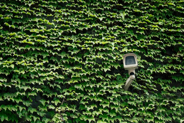 Câmera de segurança em verde