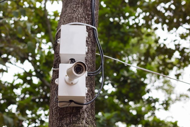 Câmera do cctv