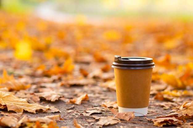 Camina con una taza de chocolate caliente en el parque de otoño. Taza de café artesanal en la carretera con hojas amarillas caídas