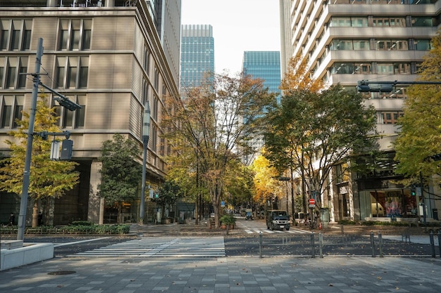 Foto caminando en japón con el otoño a tu alrededor