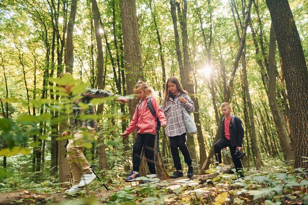 Caminando juntos Niños en bosque verde durante el día de verano juntos