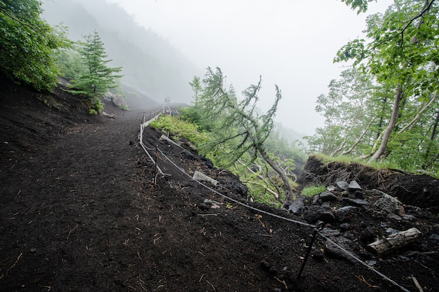 Foto caminando en la montaña fuji con niebla