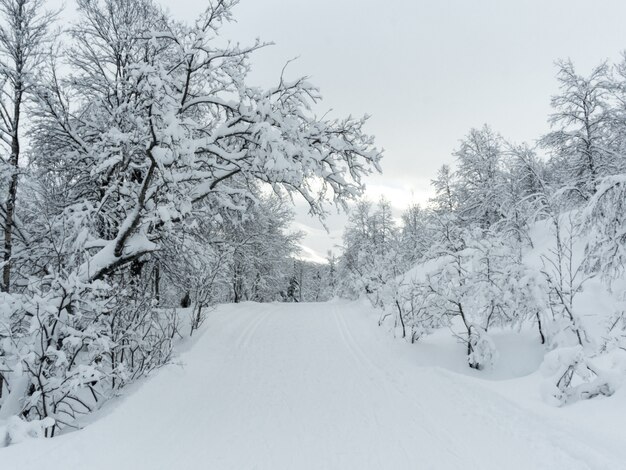 Caminando por la nieve en Noruega