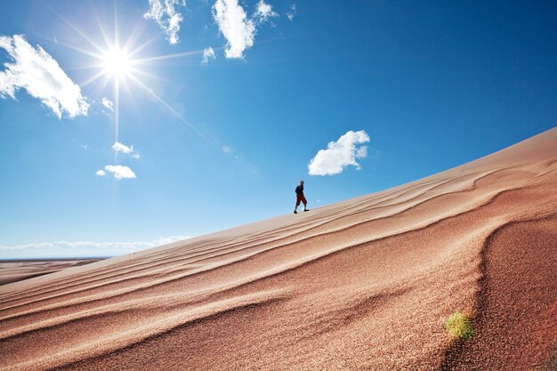 Caminante en el desierto de arena. Hora del amanecer.