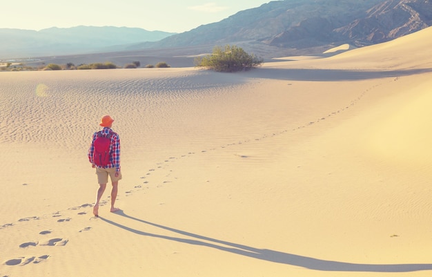 Caminante en el desierto de arena. Hora del amanecer.