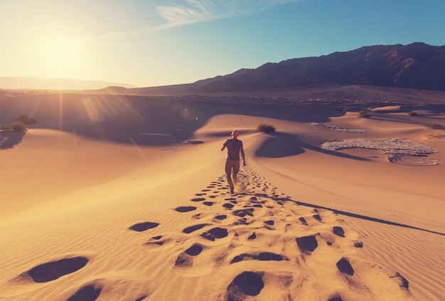 Foto caminante en el desierto de arena. hora del amanecer.
