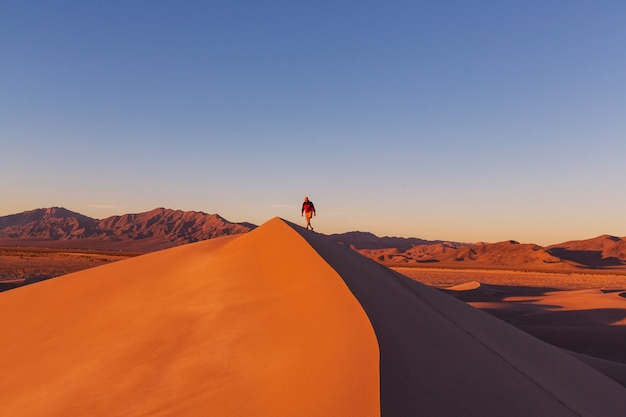 Caminante en el desierto de arena. Hora del amanecer.