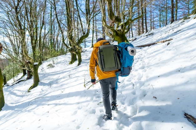 Caminante con dos mochilas en una caminata de nieve aventuras invernales en un bosque de hayas