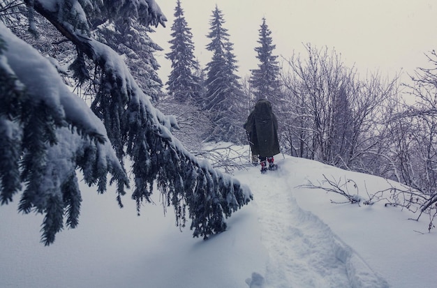 Caminante con raquetas de nieve en invierno