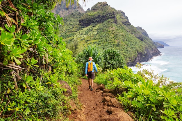 Caminante en el sendero en la selva verde, Hawaii, EE.