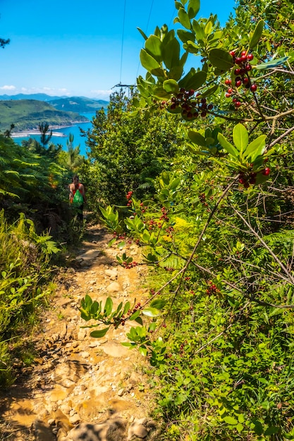Caminantes en el camino con mucha vegetación en el camino del pueblo de Orio Guipuzcoa País Vasco