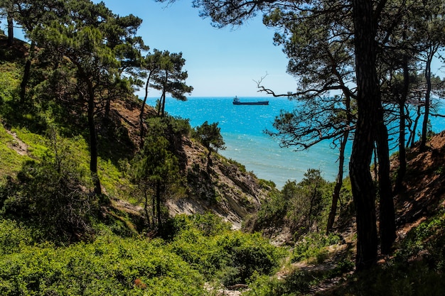 caminar hacia el mar por el bosque