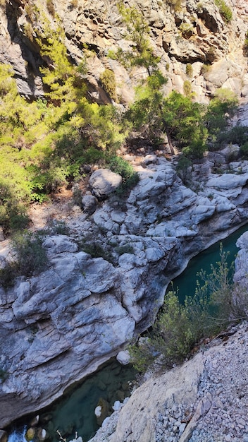 caminar en las montañas a lo largo del arroyo