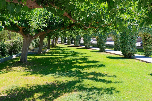 caminar en parque publico