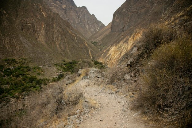 Caminata por el Cañón del Colca siguiendo la ruta de Cabanaconde al Oasis