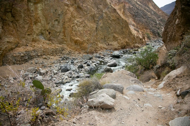 Caminata por el Cañón del Colca siguiendo la ruta de Cabanaconde al Oasis