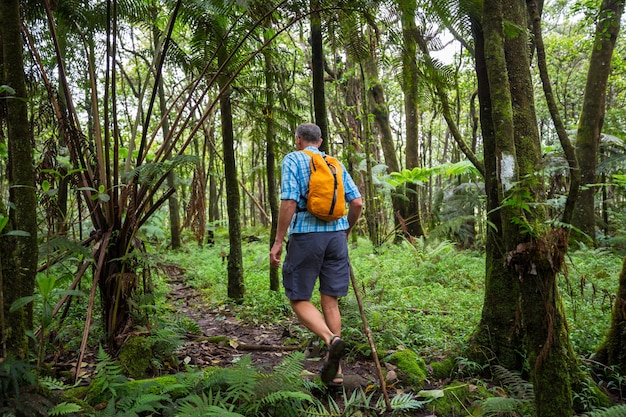 Caminata en la jungla