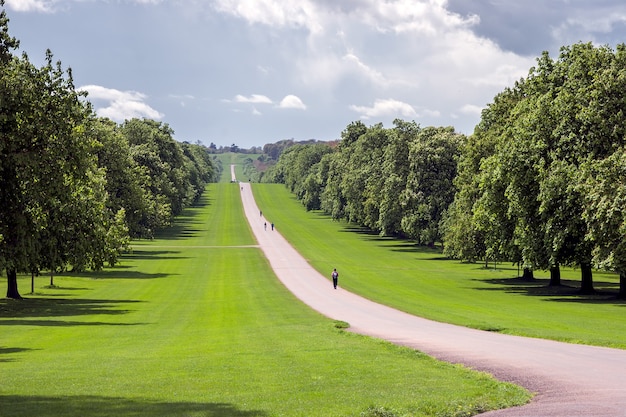 La caminata larga en Windsor Great Park