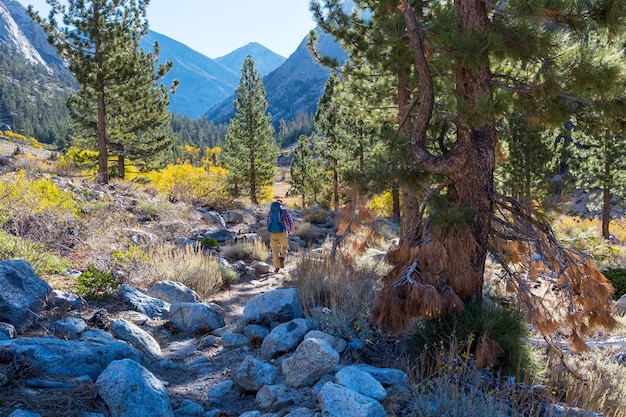 Caminata en las montañas de otoño