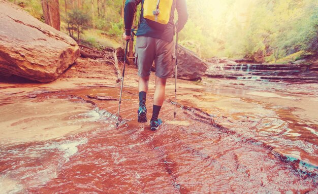 Caminata en el Parque Nacional Zion