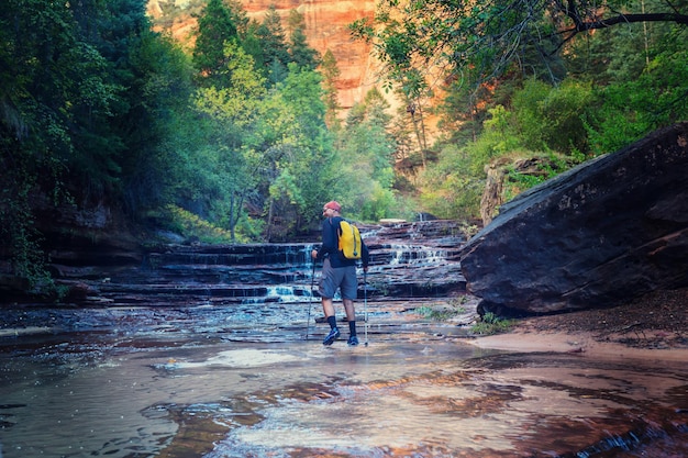 Caminata en el Parque Nacional Zion