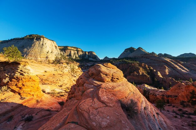 Caminata en el Parque Nacional Zion